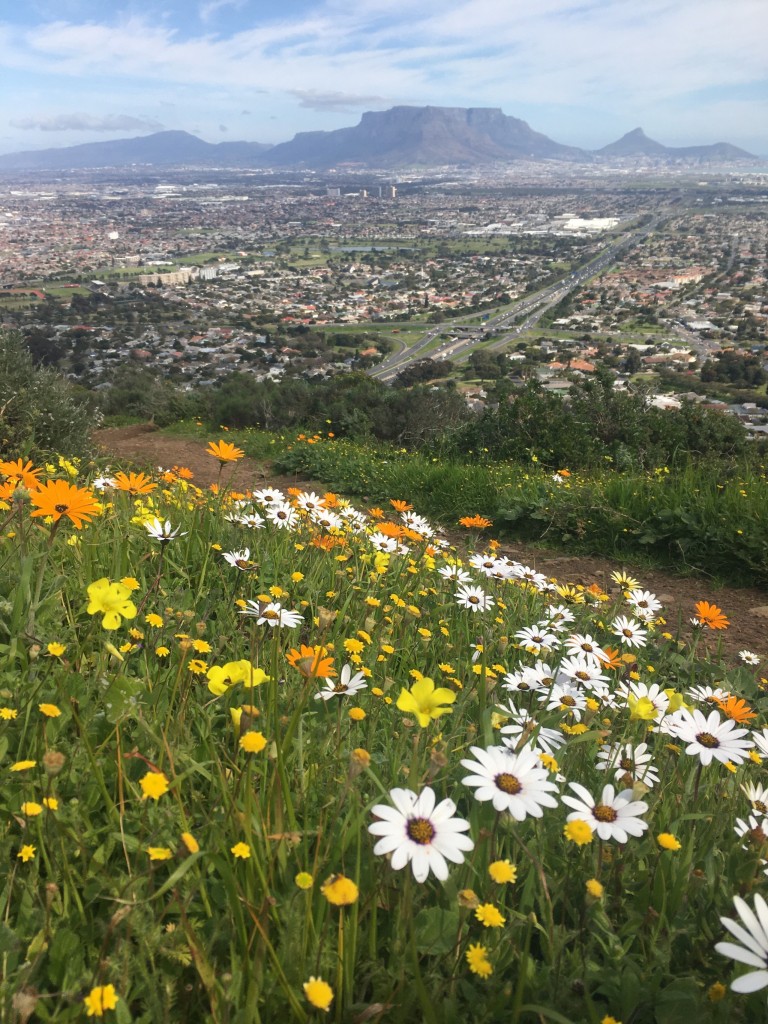 Tygerberg Nature Reserve.