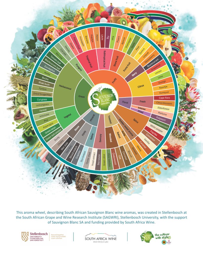 Die aromawiel vir sauvignon blanc.