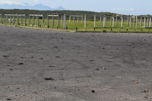 ‘Popping’ cars leave councillors’ heads spinning