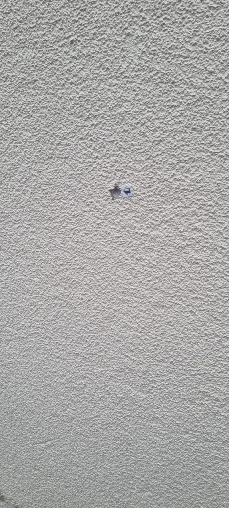 Die koeël het in 'n muur vasgeslaan.