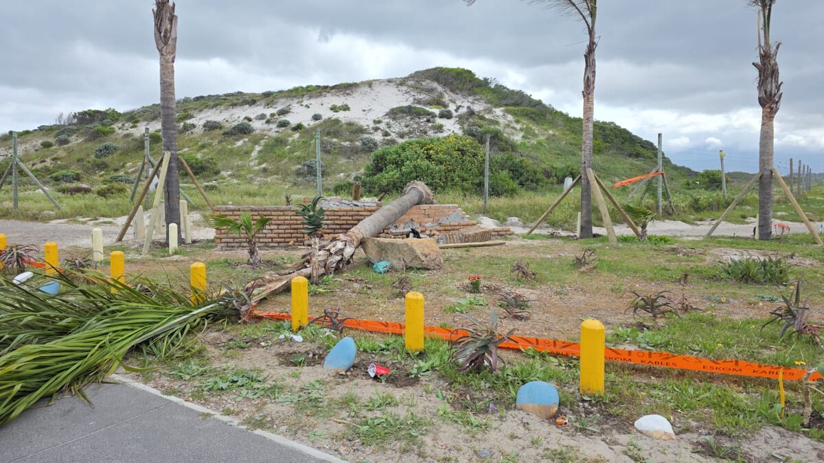A palm tree planted at the entrance to Pelican Heights collapsed after its support struts were stolen.