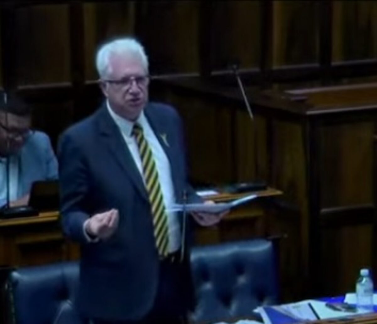 Premier Alan Winde makes his address to the Sitting of the House