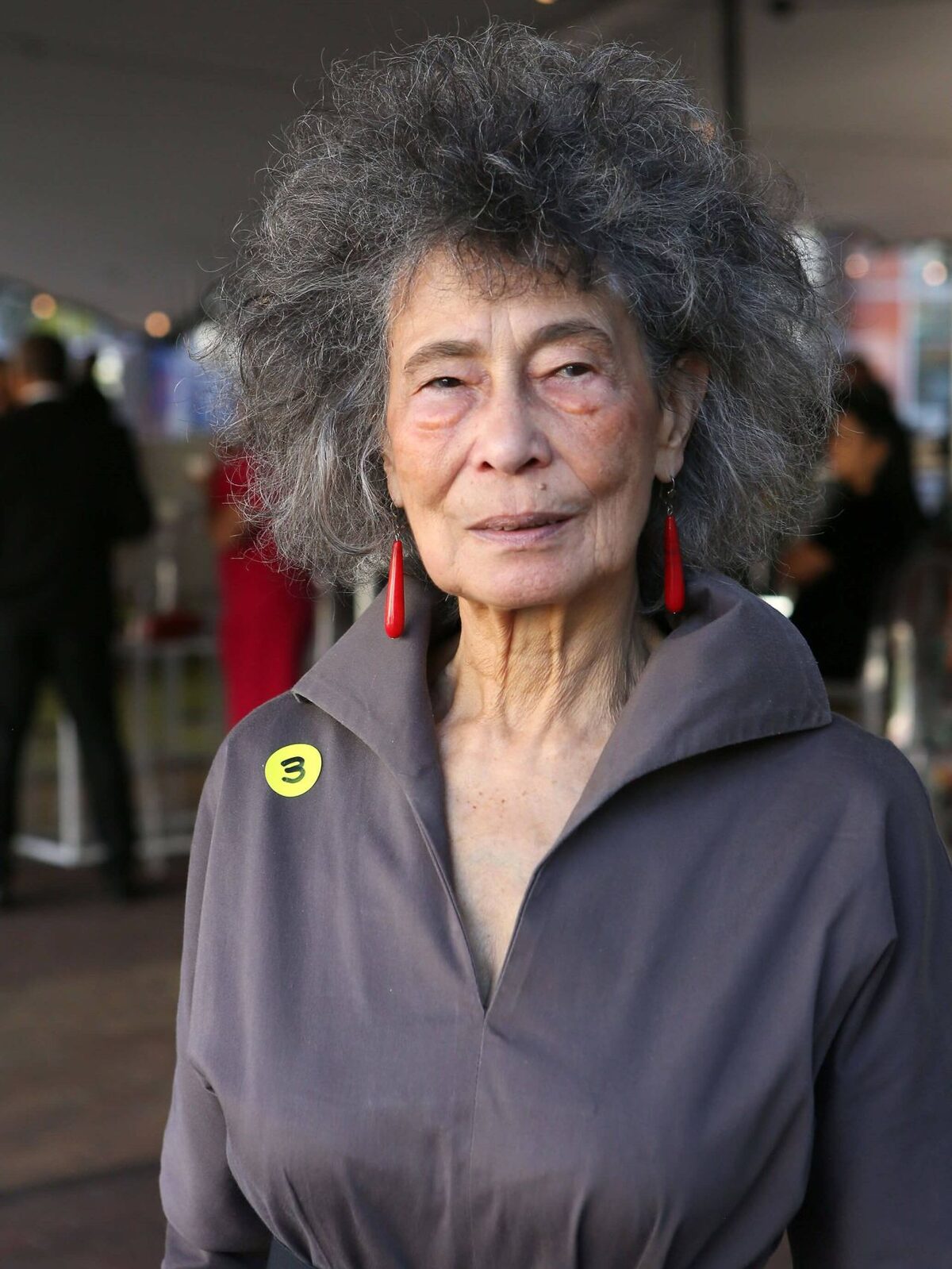 Celebrated SA literary and cultural icon Zoë Wicomb dies