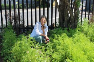 DF Malan se tuinwinkel verskaf groente aan Spar