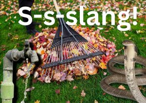 Slangseisoen is hier