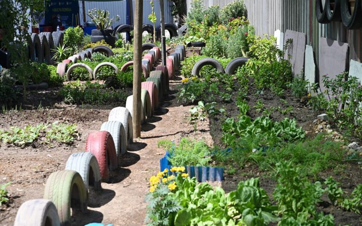 One of the new gardens in Delft.