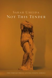 Poetry anthology is a collection of sharp-edged shards