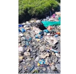 Dunoon dog rescued after days in sewage water