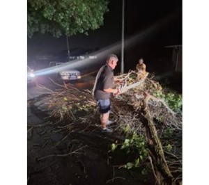 Quick-thinking Monte Vista residents remove fallen branches after strong winds