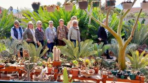 Leer meer oor broodbome by ope dag in Durbanville