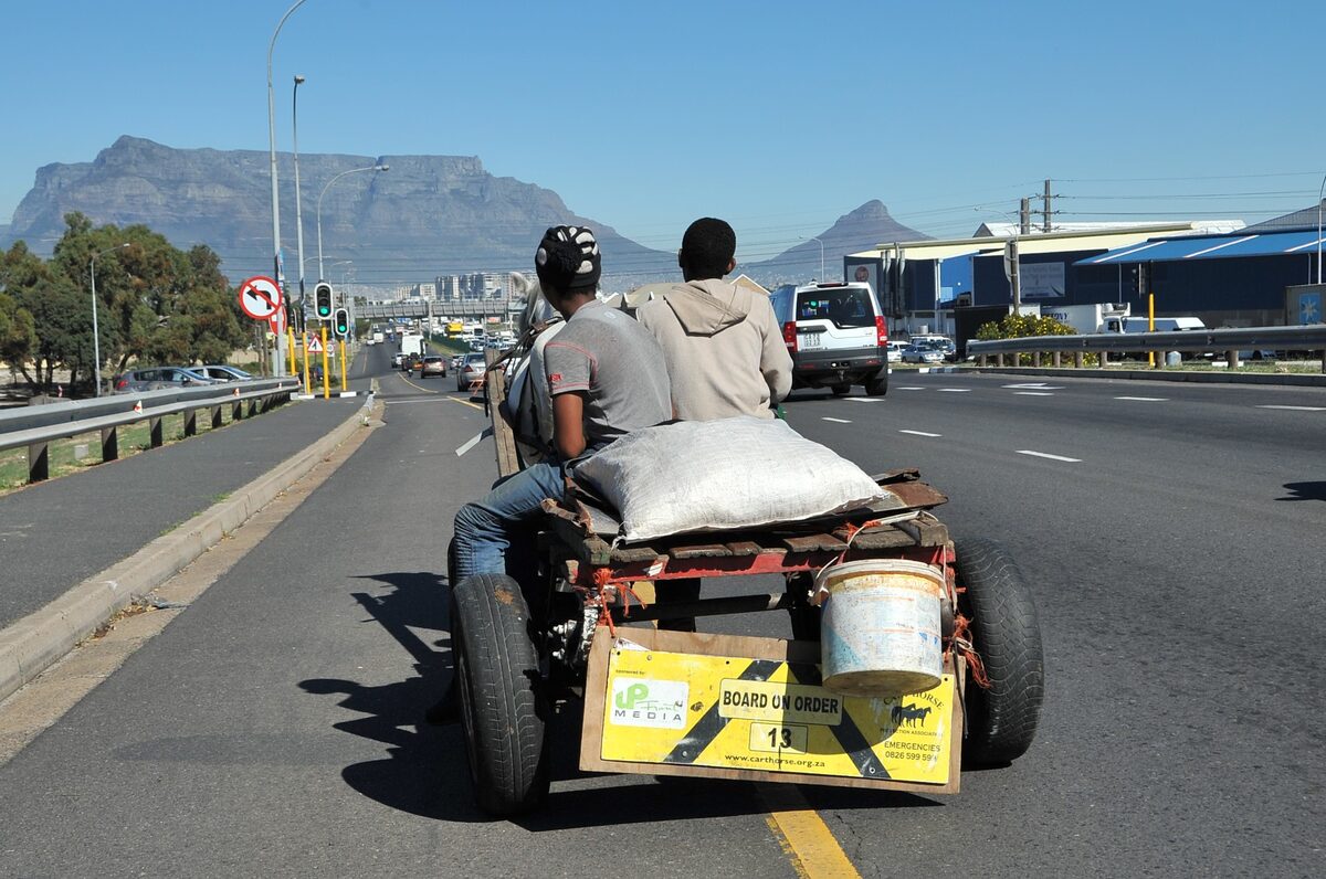 CHPA warns that cart horses be kept off the roads on hot days