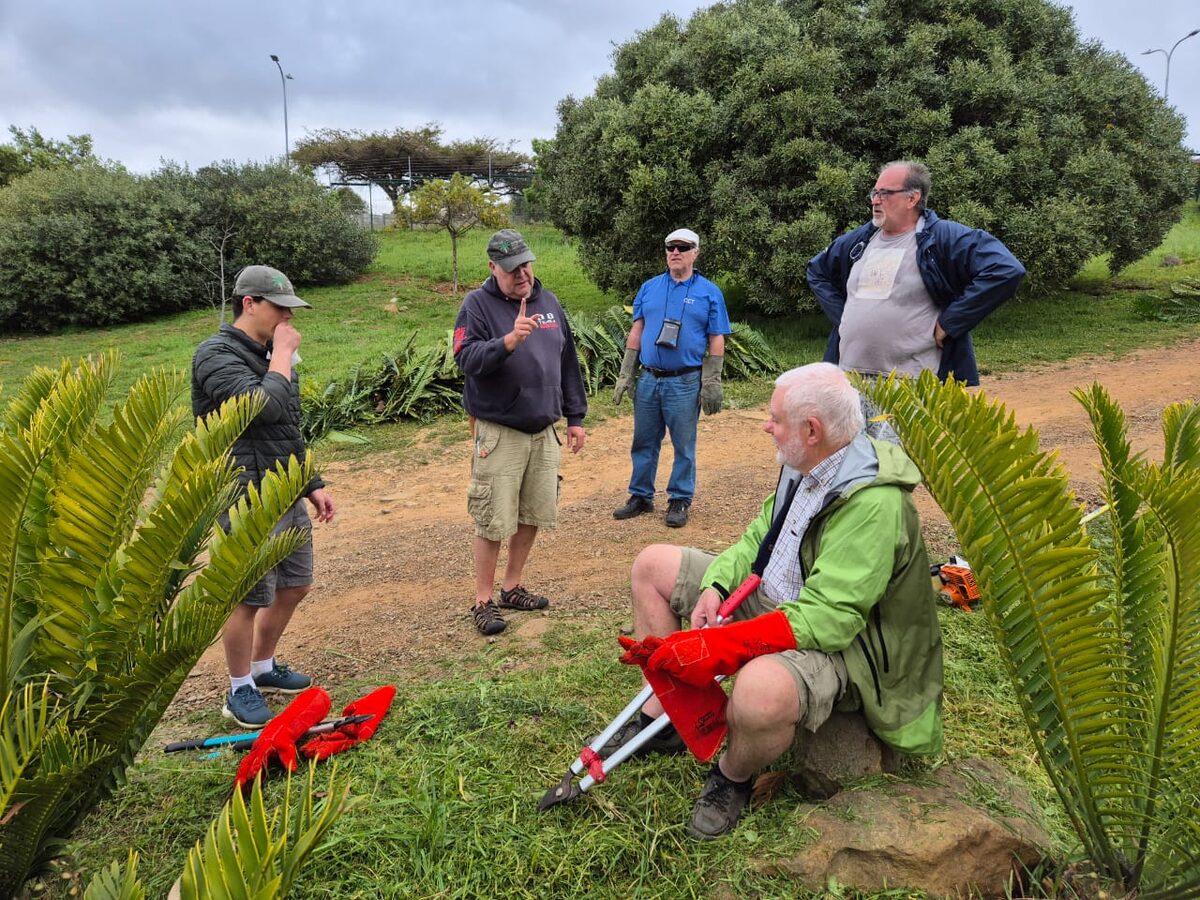 Lede van die broodboomvereniging neem 'n ruskans na die harde instandhoudingswerk in Vink se Tuin. In die agtergrond is die broodboomblare wat afgesny is.