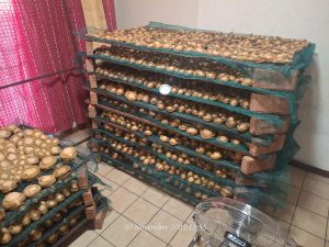 Two foreign nationals charged in R3.5 million abalone bust
