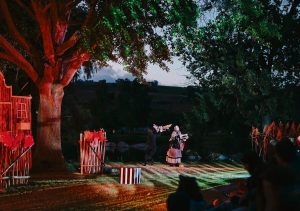 Magical ‘Summer Dream’ returns to Spier