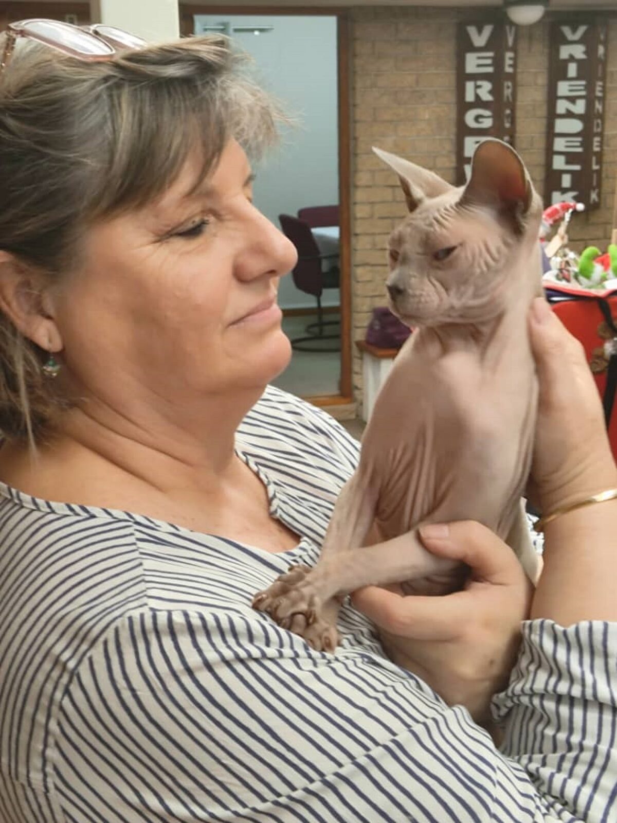 Zinzin the caramel Sphynx was a favourite.