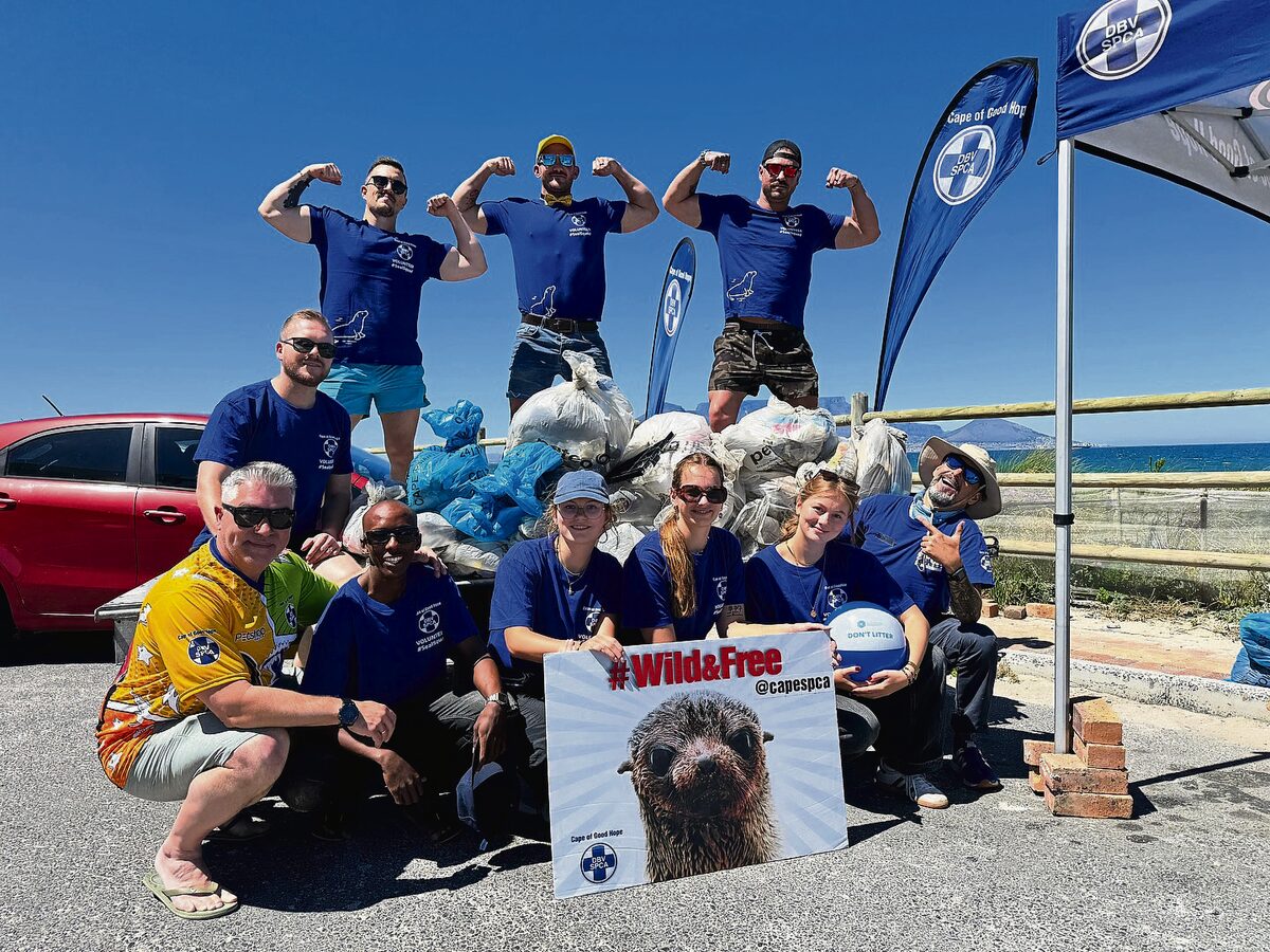 The community worked hard to collect bags of plastic waste along Bloubergstrand's coastline during a previous clean-up.