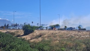 Table View community urged to stay vigilant as fire risks increase