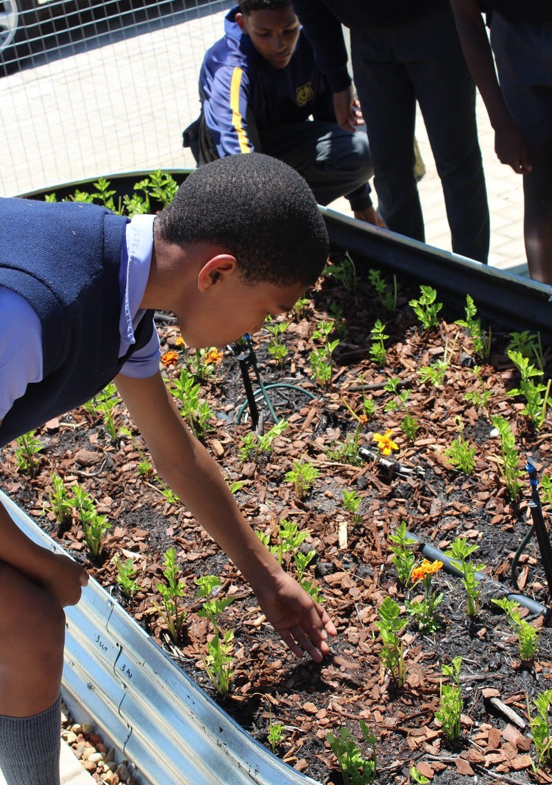 Corporate partnership transforms Bellville South school with garden and chess court