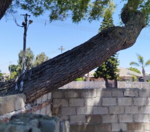 Easy criminal access point sparks safety concerns