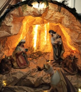 GALLERY | Cape Town residents get festive this Christmas season