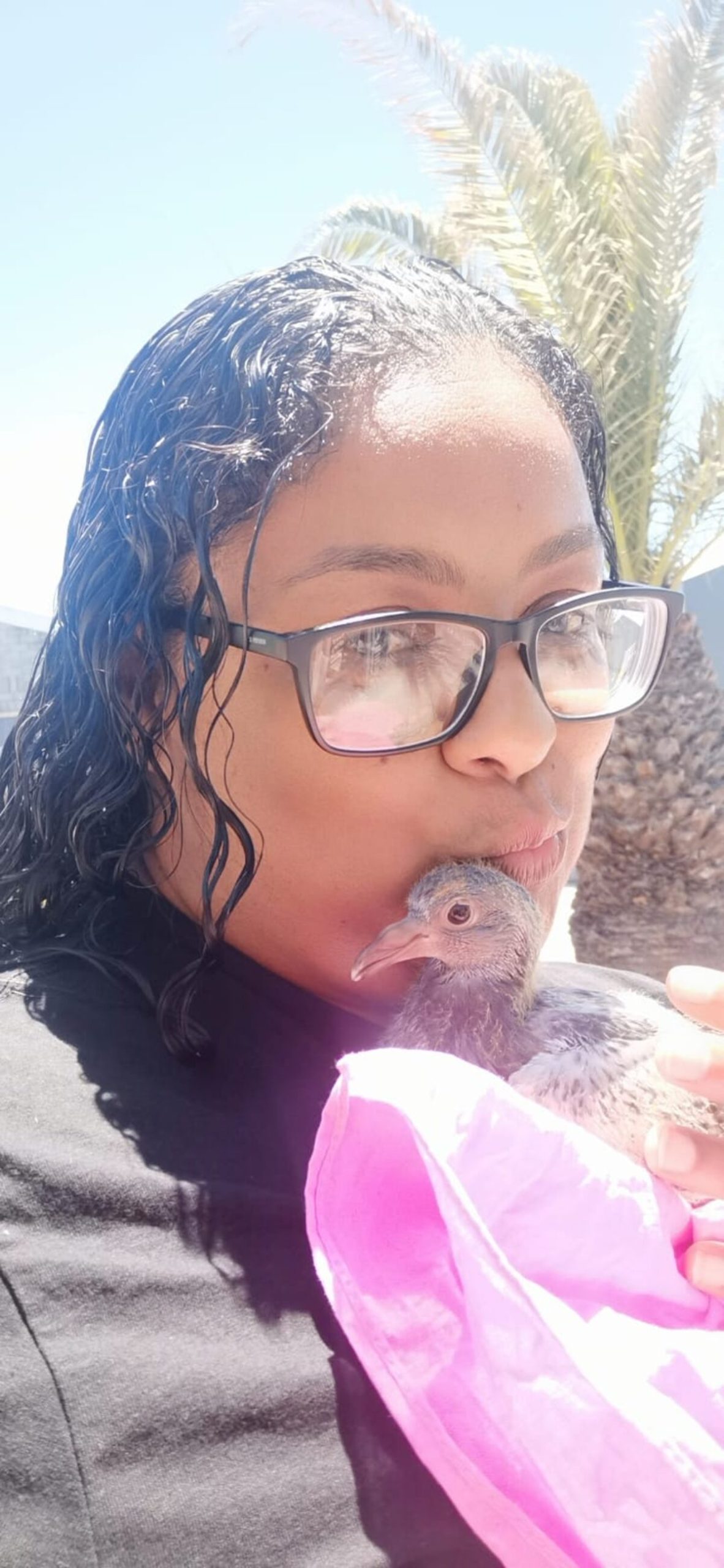 WATCH | Pigeon passion pays off for crime fighter and her husband