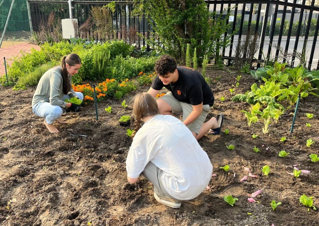 RVR DF Tuinklub se lede oes vars spinasie, uie, wortels en kruie vir gemeenskapsskenkings as deel van 2026 uitreikprojekte.
