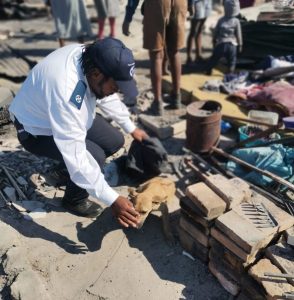 Animals rescued as devastating fire displaces 5 500 Dunoon residents