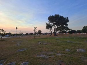 Bothasig resident and father take action to clean up rubbish-filled park