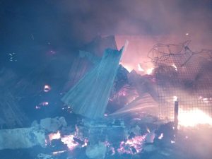 WATCH | Two bodies recovered from blaze rubble in Heinz Park