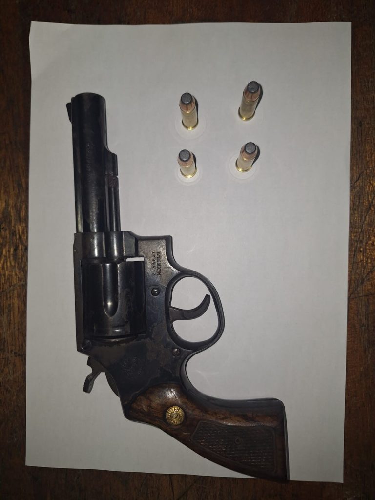 The weapon discovered in a wheelie bin.