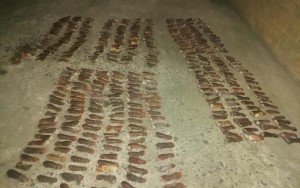 Endangered lobsters seized in Ravensmead