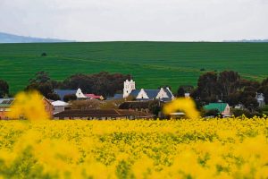 Durbanville Heritage Society will explore Philadelphia and its history