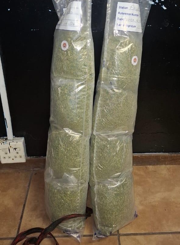 The large amount of dagga that was confiscated in Hanover Park.