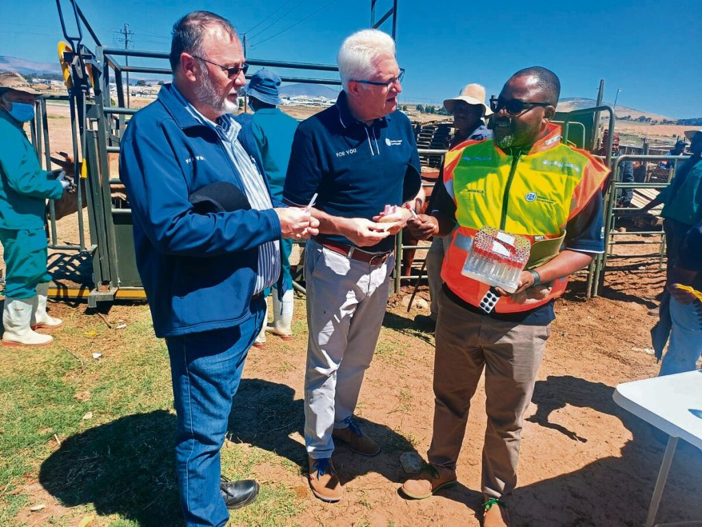 foot-and-mouth vaccination drive 