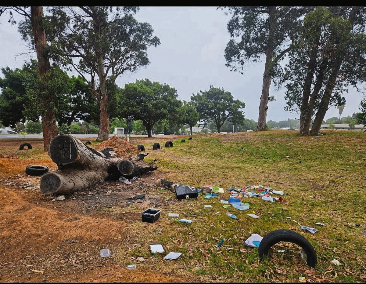 This is how the park looks on garbage collection days.