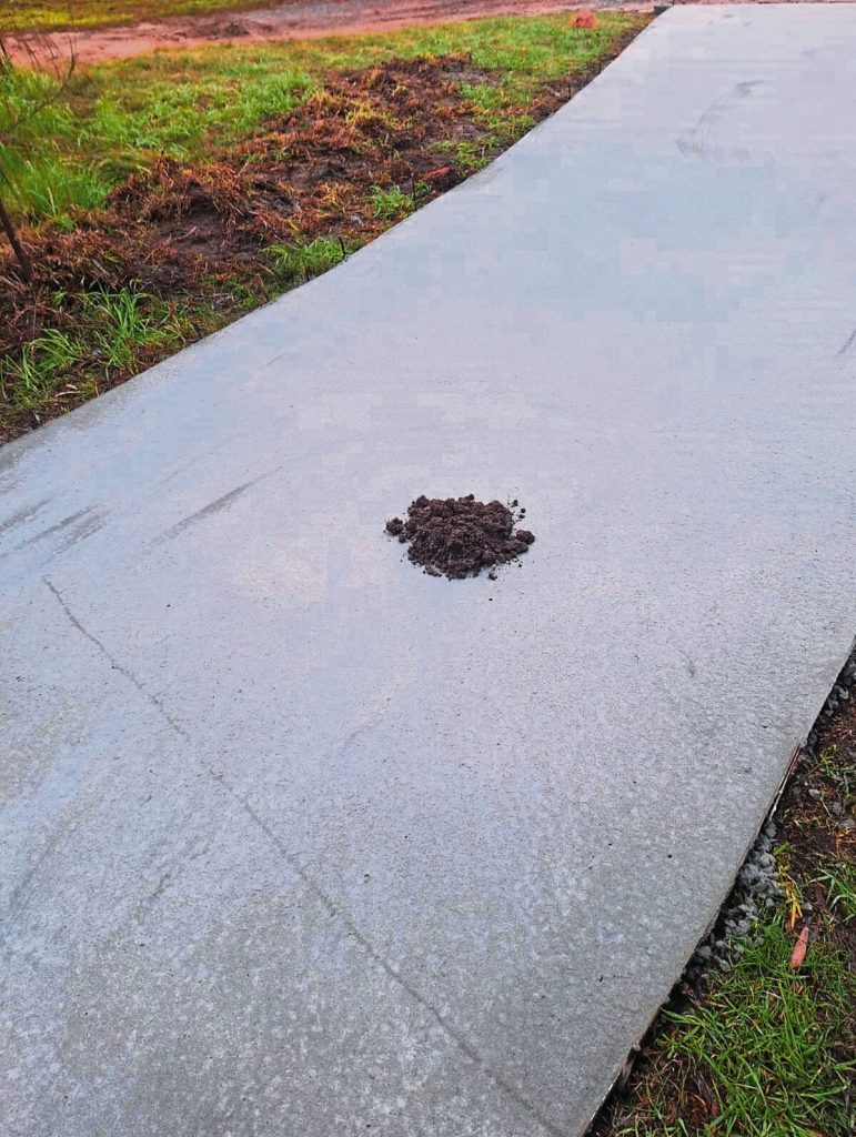 A mole even pushes through one of the freshly casted cart paths on the Durbanville golf course.