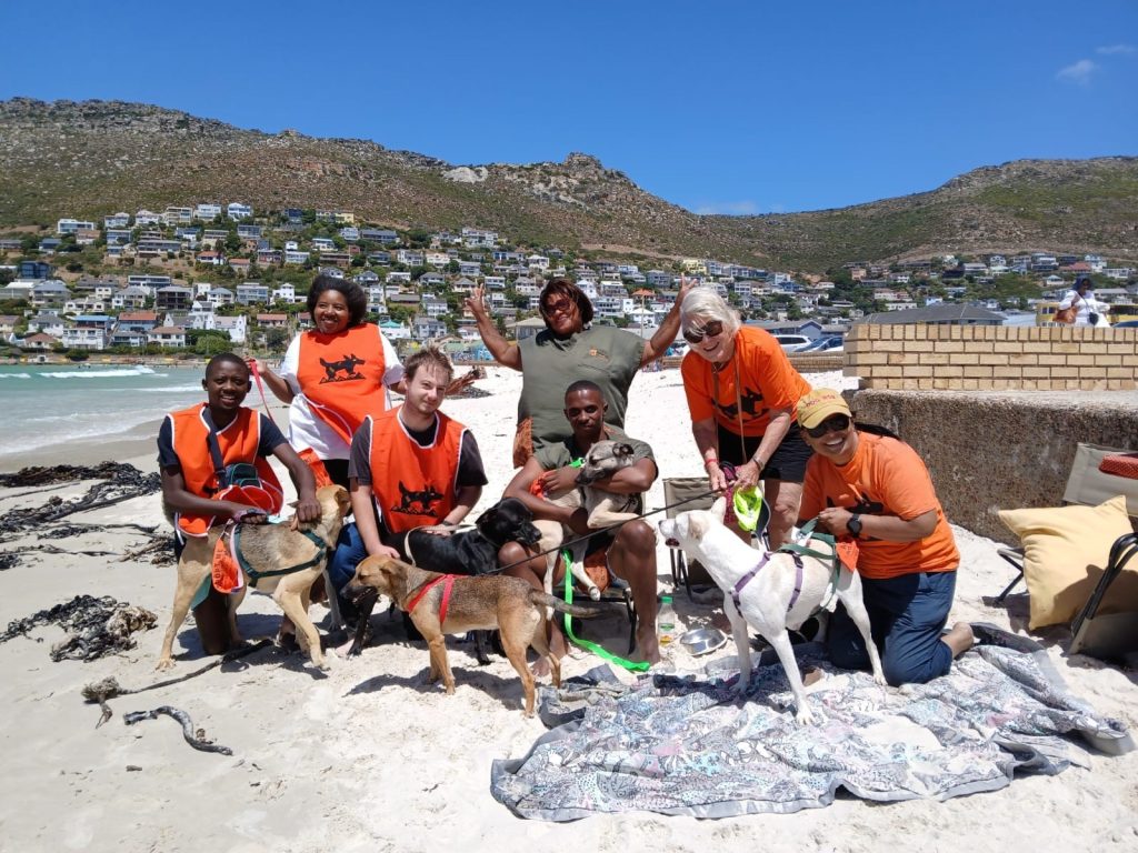 Volunteers and dogs at a previous event on Fish Hoek beach.