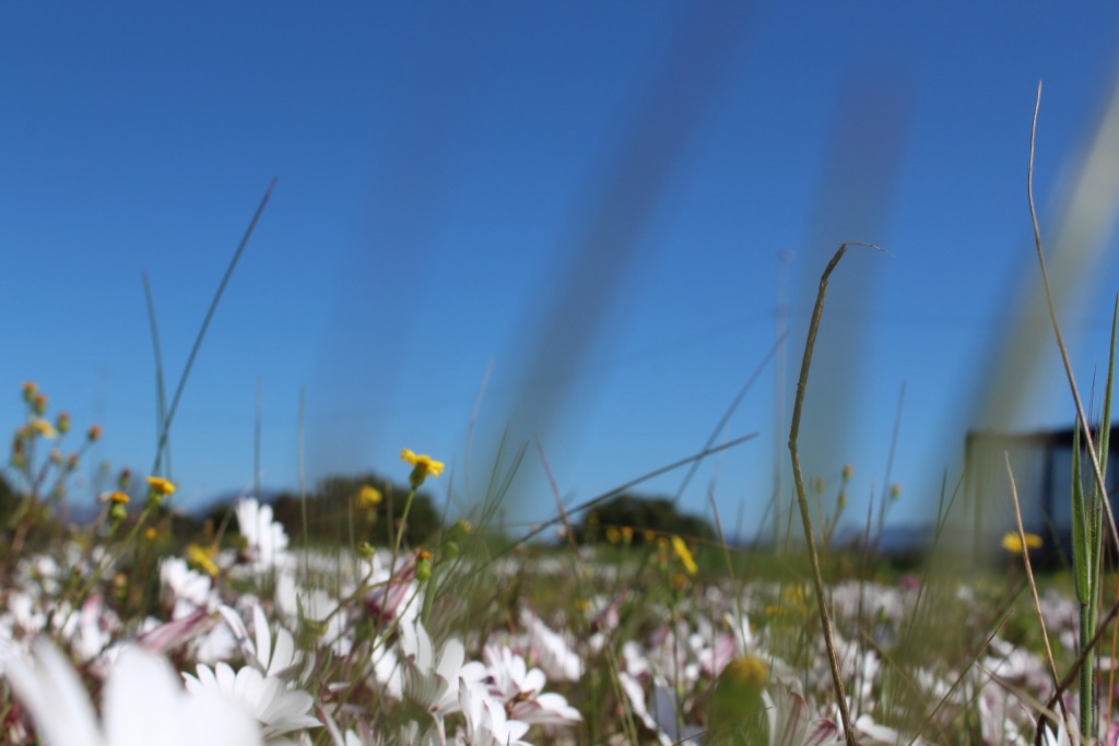 The large node contains campsites, open pieces of ground, informal settlements and beaches.
