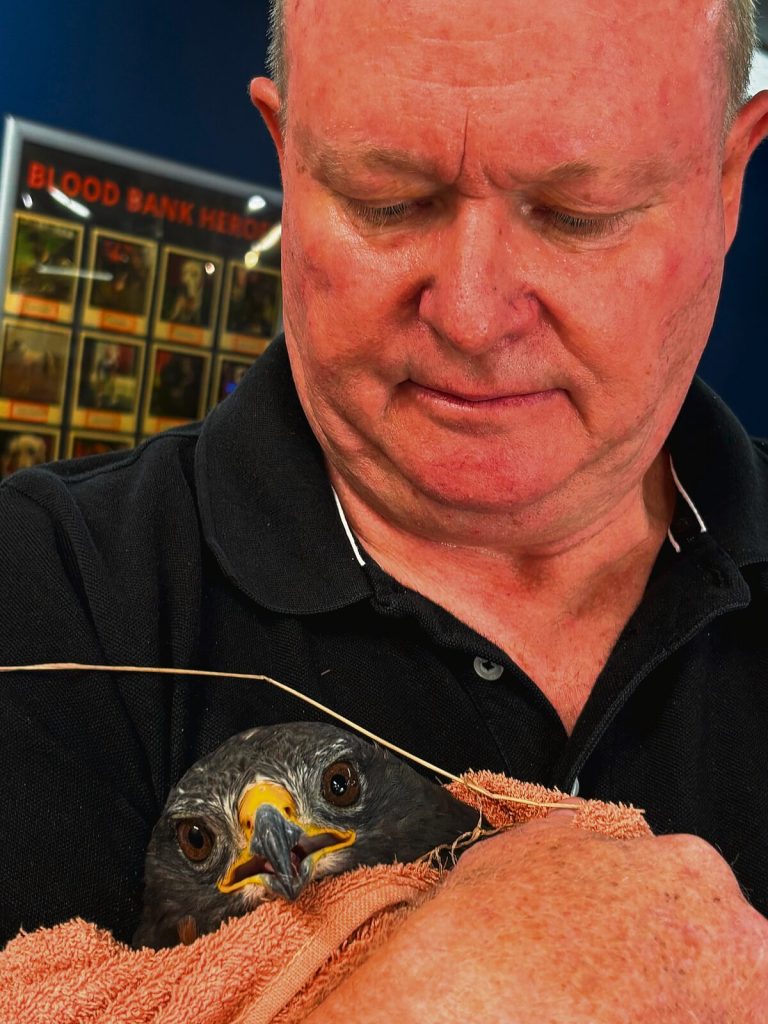 Gavin Marshall, a resident and bird lover, were one of the community members who came to the rescue of the bird.