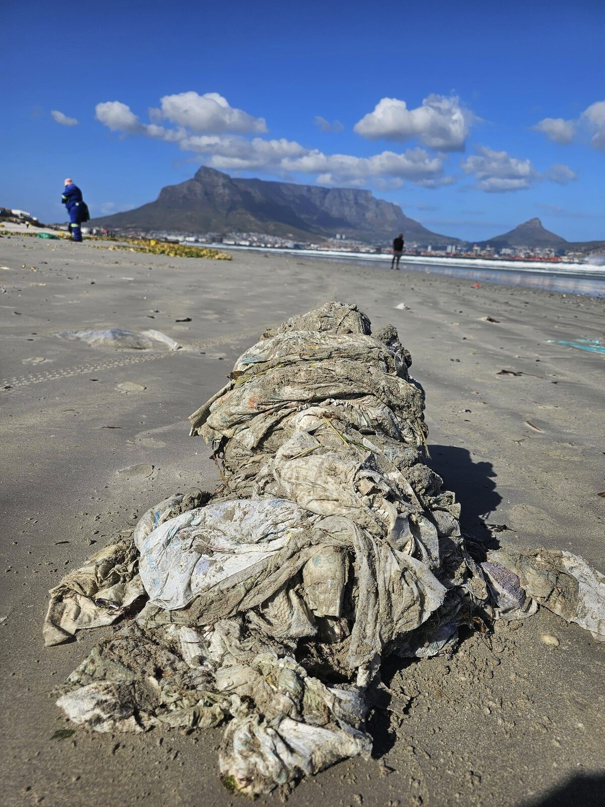 Disposable nappies removed during a recent clean-up in Milnerton.