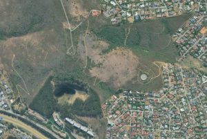 Environmental group joins quarry tree removal protest