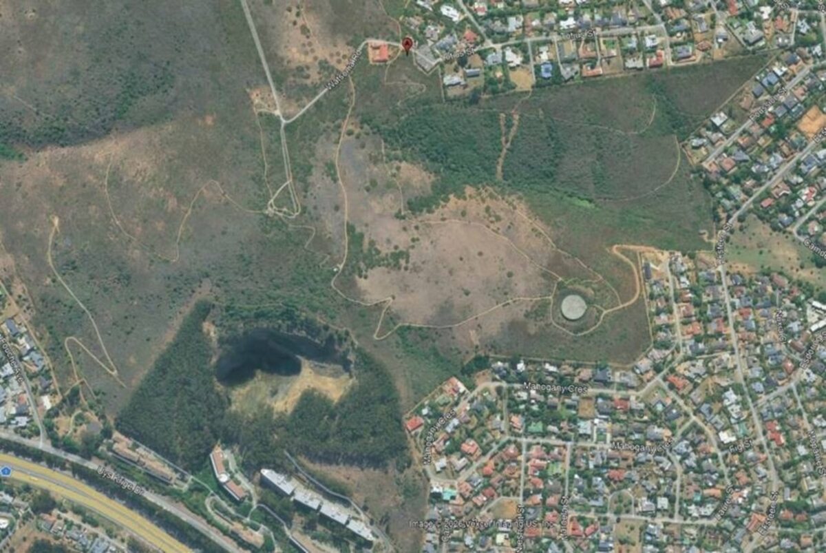 Environmental group joins quarry tree removal protest