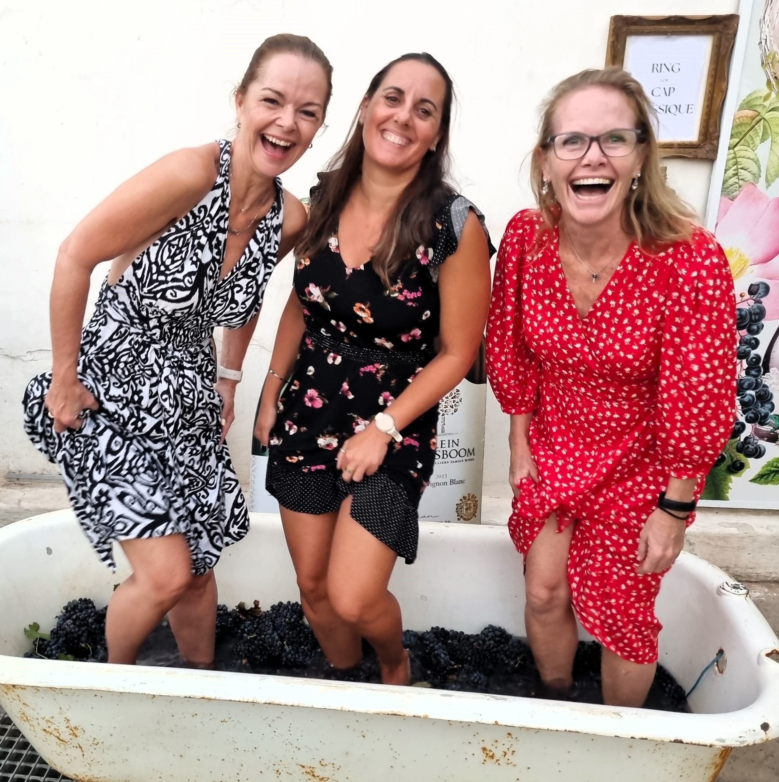 Winefarms of Durbanville Wine Valley celebrates end of harvest