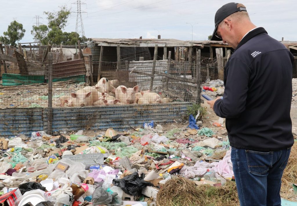 JP Smith at illegal piggery