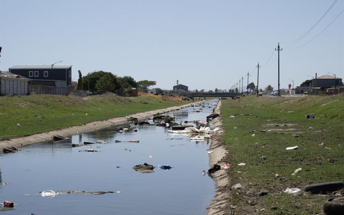 Teaming-up to find long-term solutions for Eerste/Kuils River water bodies