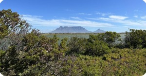Air quality concerns as dust blows from Rietvlei pans