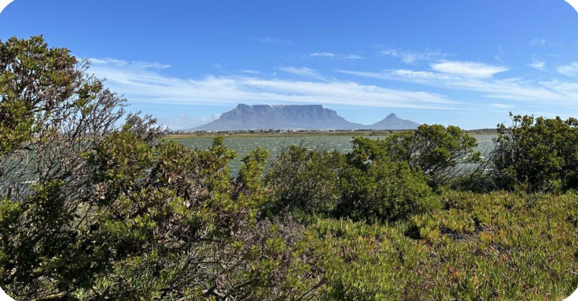 Residents say silt from Rietvlei pans is affecting daily life and air quality.