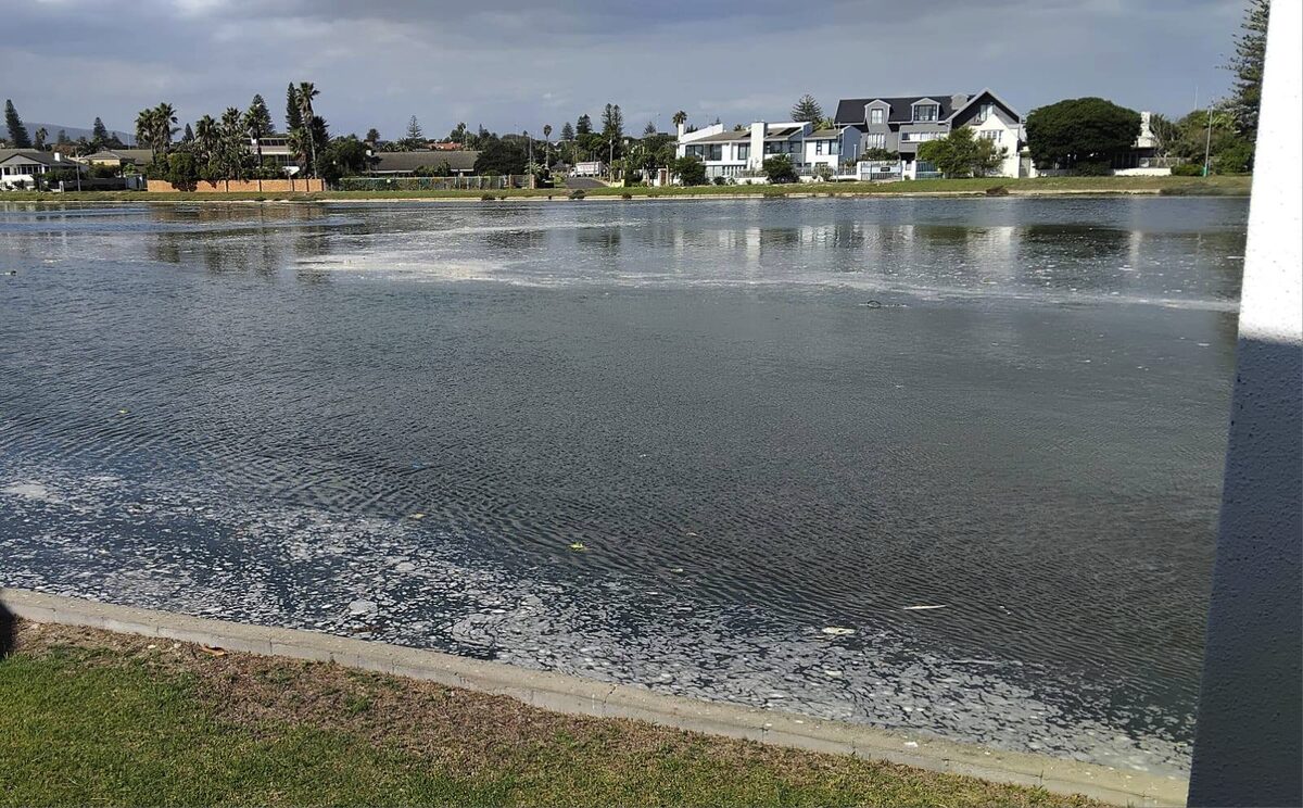 Foam sightings in Milnerton Lagoon add to concerns as dredging plans move ahead under the City’s restoration programme.