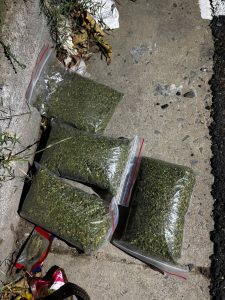 Cape Town’s Goodwood residents help SAPS crack down on drugs and housebreakings