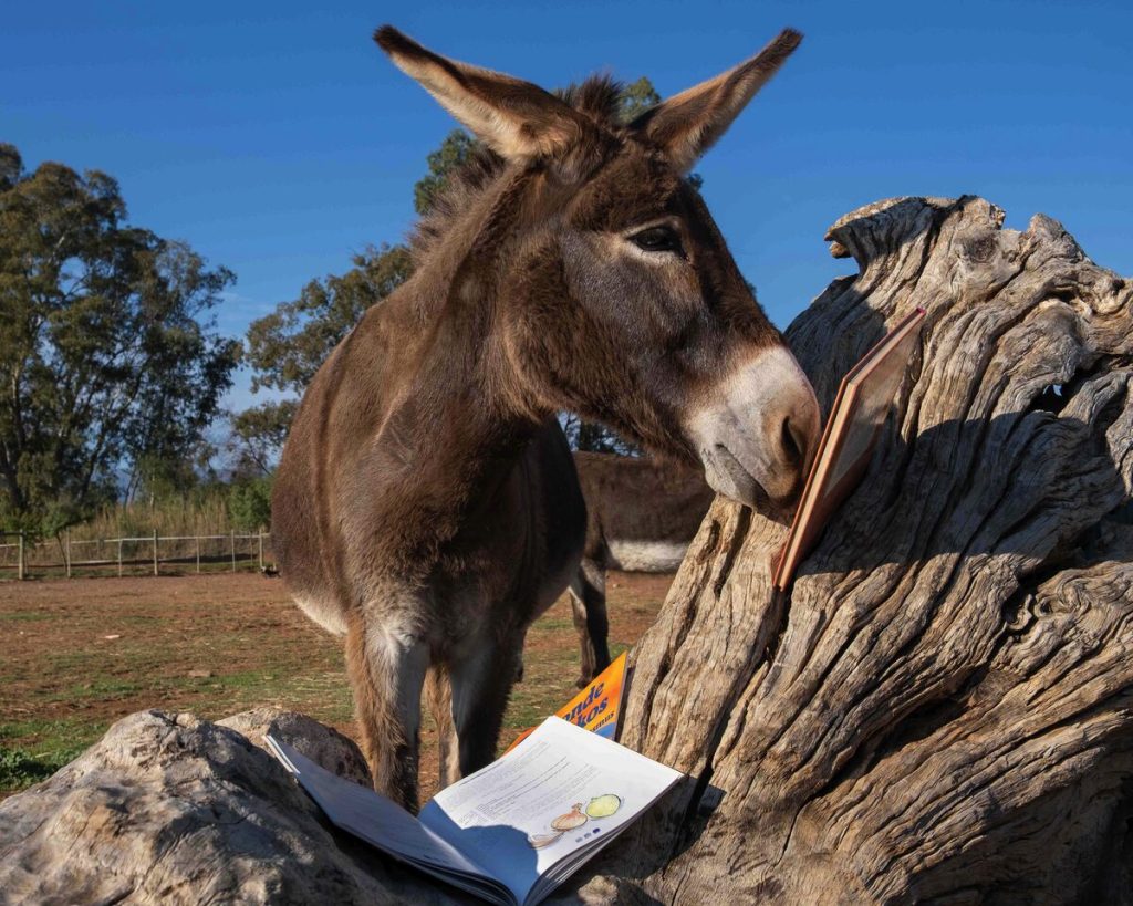 Hansel het sy goedkeuring gegee vir die boeke wat te koop sal wees. FOTO: Jackie Wernberg